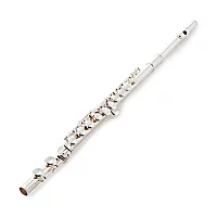Trevor James TJ5X Student Flute