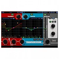 Boz Transgressor 2