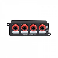 Temple Audio 4X Module