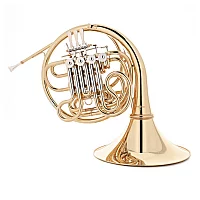 Student Double French Horn with Detachable Bell by Gear4music