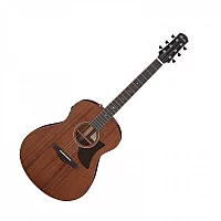 Ibanez AAM740E Natural Low Gloss