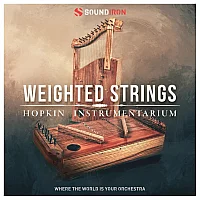 SoundIron Hopkin Instrumentarium Weighted Strings