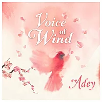 SoundIron Voice of Wind Adey