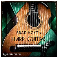 SoundIron Brad Hoyts Harp Guitar