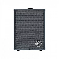 Darkglass DG210D Infinity 500 Combo 210