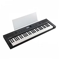 Roland GOKEYS 5 Keyboard Graphite with Music Rest