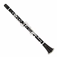 Buffet RC Professional Bb Clarinet