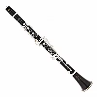 Buffet R13 Professional Bb Clarinet