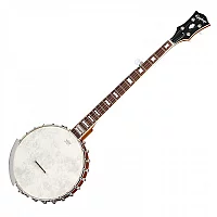 Epiphone Mastertone Bowtie Open Back Banjo Inspired by Gibson Custom Natural