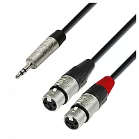 Adam Hall 4 STAR Rean 3.5mm TRS Mini Jack to Twin XLR F Splitter Cable 3m