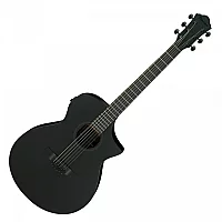 Ibanez AEWC621 Black Flat