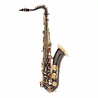 Trevor James EVO Tenor Saxophone Black and Gold