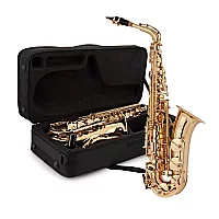 Rosedale Professional Alto Saxophone by Gear4music
