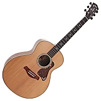Taylor Gold Label 814e Natural