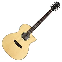 Ferndale GA3ce Grand Auditorium Spruce Bocote
