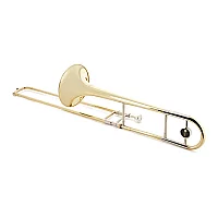 Forte TB220 Trombone Outfit