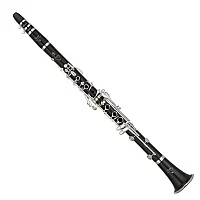 Yamaha YCLCSVRA Custom A Clarinet