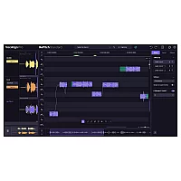 Synchro Arts RePitch 2 Standard VocAlign Pro Bundle