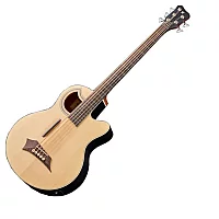 Warwick RockBass Alien Standard 5 String Fretless Acoustic Bass Natural