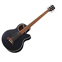Warwick RockBass Alien Standard 5 String Acoustic Bass Solid Black
