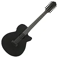 Ibanez AEG1221 12String Black Out