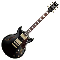 Ibanez AM73G Artcore Black