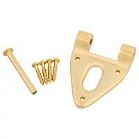 Bigsby Conventional Hinge wHinge Pin and Screws Gold