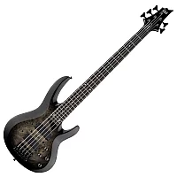 ESP LTD B205DX Black Burst
