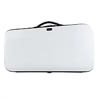 BAM Stage Single Trumpet Case Grey