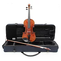 Eastman Master Series Stradivarius Violin Outfit with Gold Set Up