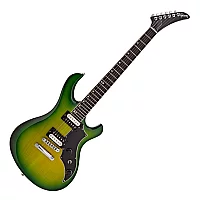 Gibson Victory Figured Top Iguana Burst 210450258