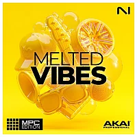 Native Instruments MPC Expansion Melted Vibes