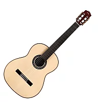 Cordoba C12 Spruce