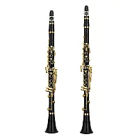 Yamaha YCLCSG Bb and A Clarinet Pair Hamilton Plated