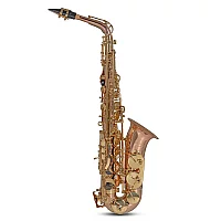 Roy Benson AS202 Alto Saxophone Bronze