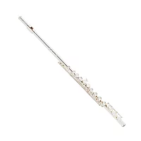 Yamaha YFL412 Intermediate Flute Silver Body and Headjoint