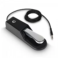 Adam Hall SP1 Sustain Pedal